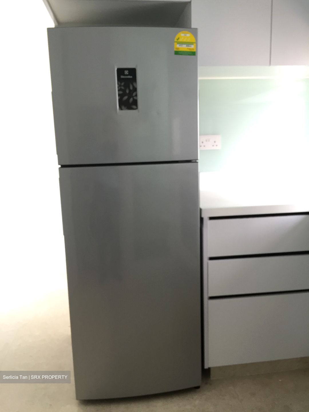 Eight Riversuites (D12), Condominium #536630171